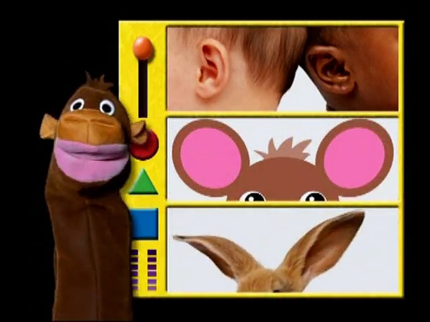 Baby Einstein - Baby da Vinci: From Head to Toe (2004)