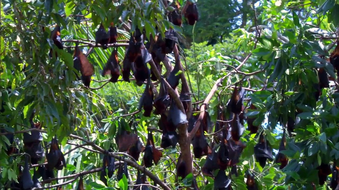 Earth - South Pacific E02 Castaways