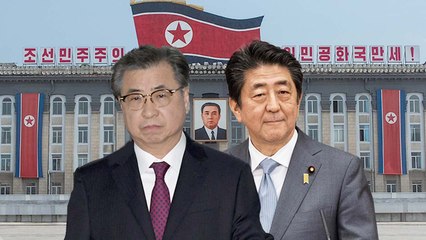 방북 특사단, 아베와 회담...비핵화 실현 협력 확인 / YTN