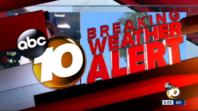 Arbor Task Tree Service Interviewed on KGTV 10 News in San Diego