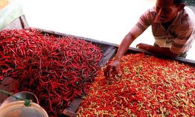 Pasokan Seret, Harga Cabai Melejit
