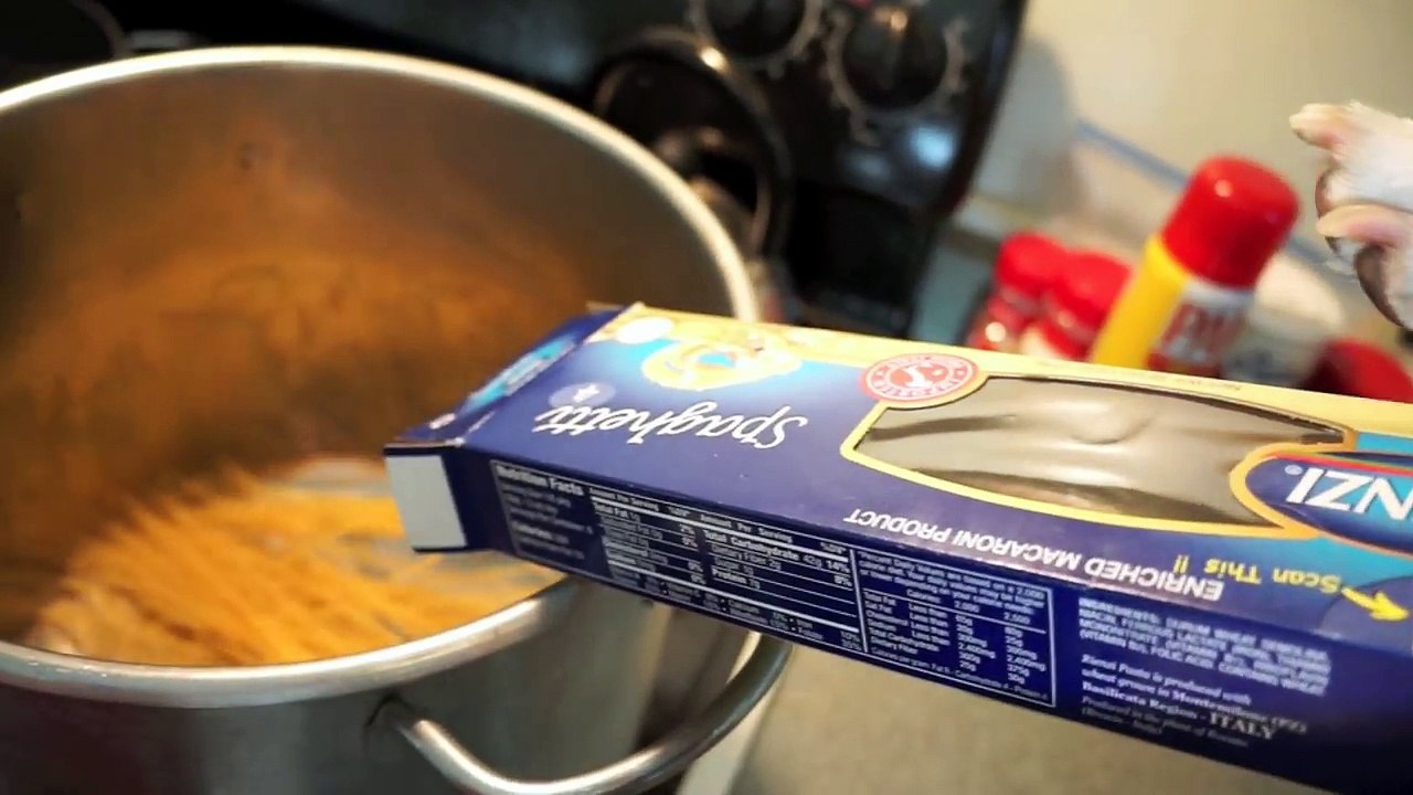 Funny Dog Makes Spaghetti- Chef Dog Maymo