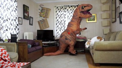 T-Rex Befriends Dog- Funny Dog Maymo
