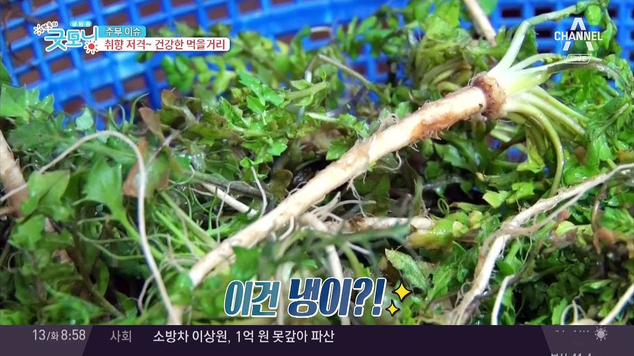 반찬부터 디저트까지, 취향 저격! 건강한 먹을거리