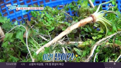 반찬부터 디저트까지, 취향 저격! 건강한 먹을거리