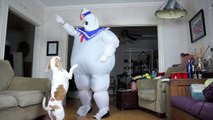 Dogs vs. Dancing Marshmallow Puft Man- Funny Dogs Maymo & Penny