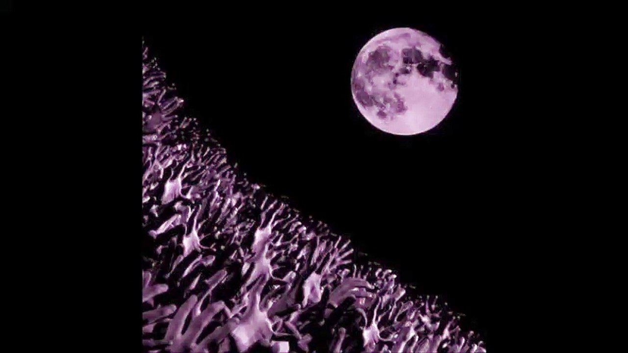 Muse - Apocalypse Please, Tokyo Studio Coast, 03/11/2007