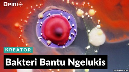 #1MENIT | Bakteri Bantu Ngelukis