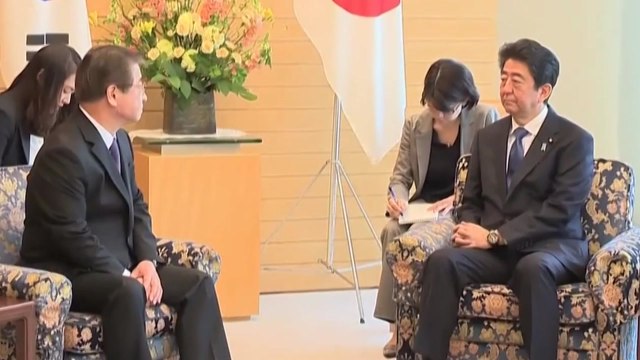 방북 특사단, 아베와 회담...비핵화 실현 협력 확인 / YTN