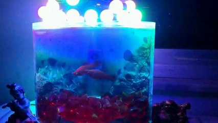 NEW SMALL FILTER MADE FOR MINI BETTA TANK OR FISH BOWL