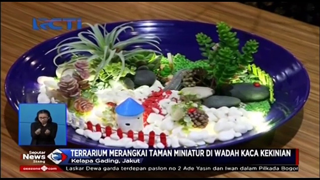 Seni Merangkai Terrarium