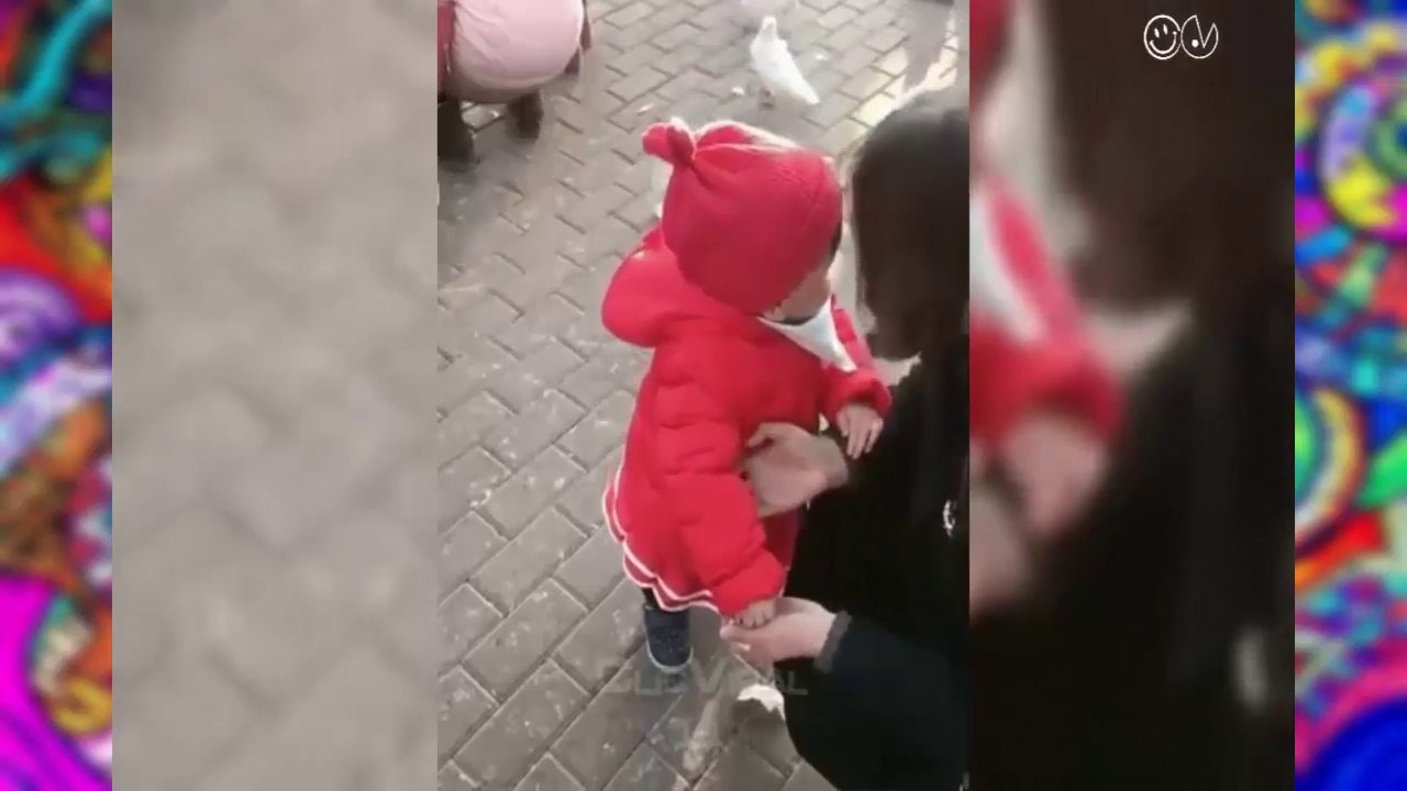 Los mejores y mas sorprendentes vídeos del mundo!