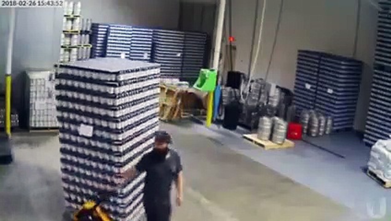 Cet employé va faire la boulette de sa vie avec cette palette de bières