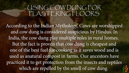 Be the Credible Indian of Incredible India