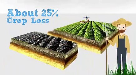 Mancozeb by UPL, an agricultural fungicide