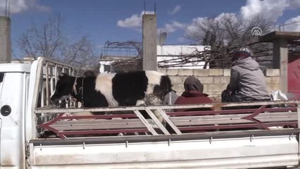 Korku Dolu Günleri Unutmaya Çalışıyorlar