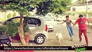 Things Not To Do On BAKRA EID l step in world