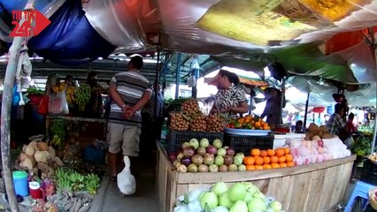 Chú vịt đi theo chủ như hình với bóng ơ Sóc Trăng