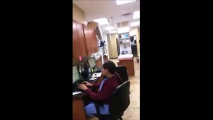 Un chat saute avec son coussin pour faire la sieste