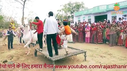 New Marwadi Horse Dance _ New Dj Song 2017 _ New Rajasthani Wedding Dance Video