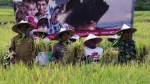 Endonezyalı çiftçilerden Suriye'ye pirinç yardımı - AÇE
