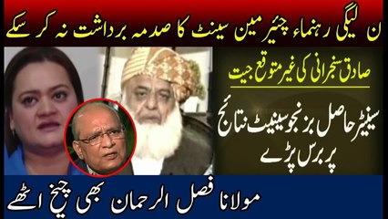 PMLN Leaders Can't Accept New Chairman Senate - Hmara TV Official