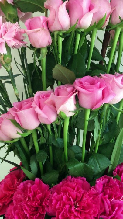 Most Beautiful Floral Arrangements – Melbourne Fresh Flowers