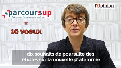 Parcoursup, pourquoi tant de haine ?