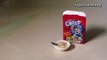 Miniature Cereal; Capn Crunch Inspired Polymer Clay & Paper Tutorial