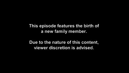 Three Wives One Husband S01E01 Welcome the Rock