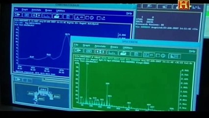 Investigando Múmias - Falsa Identidade