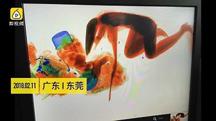 A woman climbed into security inspection machine with her handbag, to prevent theft.