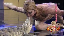 Thrilling moment: Woman kisses crocodile