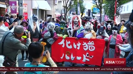 Japan Ghost Cat Festival attracts pet lovers in Tokyo