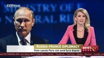Putin cancels Paris visit amid Syria dispute