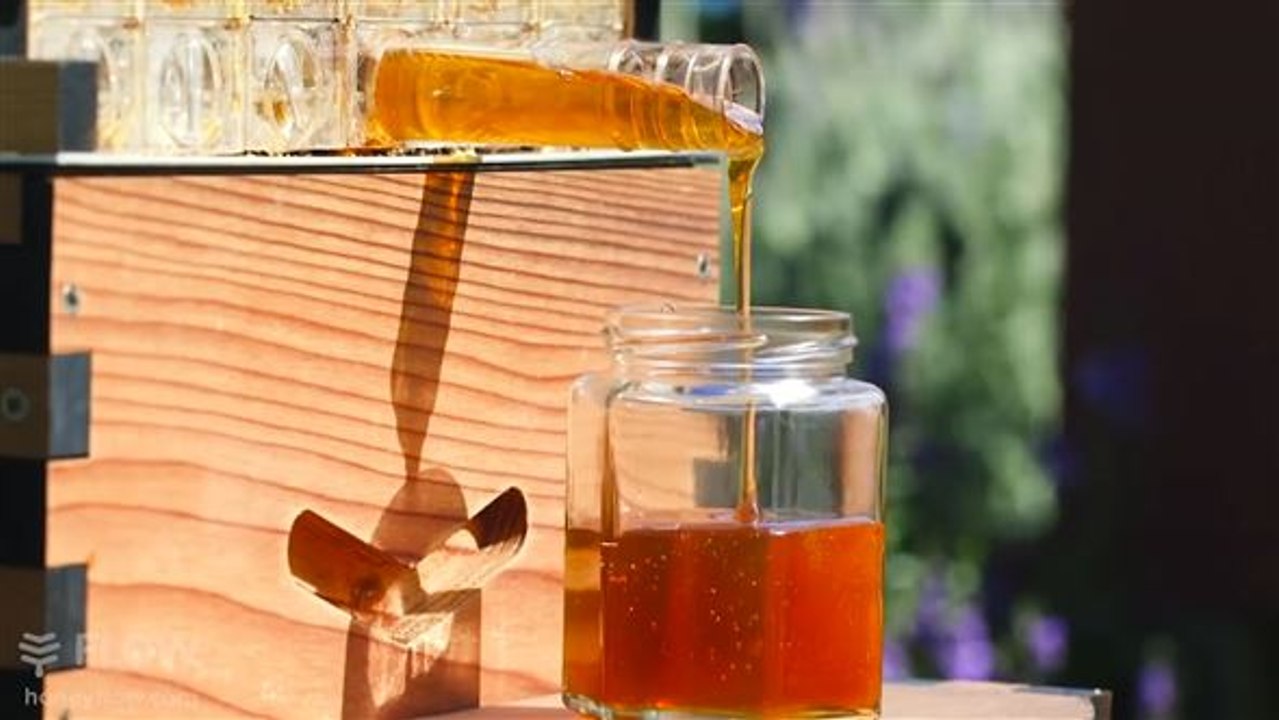 Schlaraffenland? hier fließt der honig aus den wänden