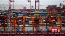 Shanghai FTZ makes major breakthroughs for imports and exports