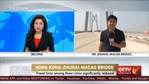 World's longest cross-sea bridge connects major south China ports