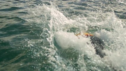 Adrénaline - Surf : Gold Coast Highlights Day 3