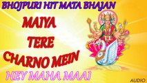Sanjay Snehi - Maiya Tere Charno Mein - Hey Maha Maai