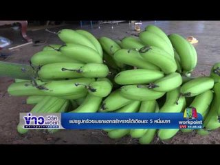 แปรรูปกล้วยเบรกแตกสร้างรายได้เดือนละ5หมื่นบาท  l ข่าวเวิร์คพอยท์ (เที่ยง) l 07 ก.พ.60