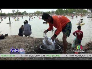 ลงแหจับปลาหารายได้เข้าหมู่บ้านได้เกือบแสนบาท | ข่าวเวิร์คพอยท์ | 2 มี.ค. 60