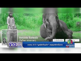 อวสาน 25 ปี “มูลนิธิเพื่อนช้าง” เหตุทุนทรัพย์ไม่พอ l ข่าวเวิร์คพอยท์ ดึก l 15 มี.ค.60