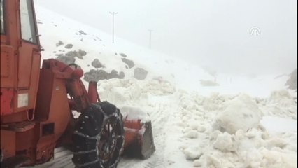 Nemrut Dağı'nda karla mücadele - ADIYAMAN