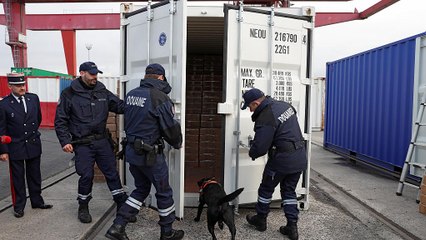 France : saisies record de stupéfiants en 2017