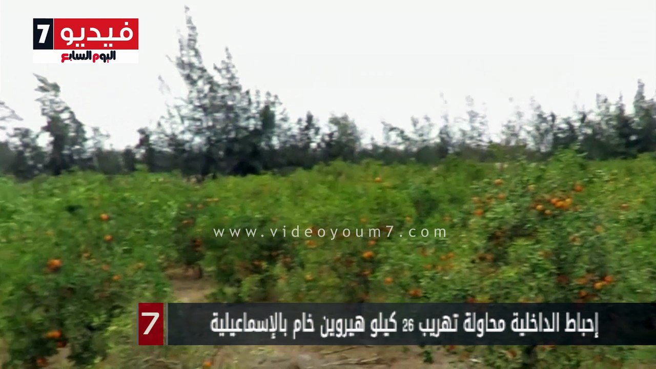 إحباط الداخلية محاولة تهريب 26 كيلو هيروين خام...