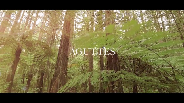 Un squelette d’une espèce inconnue de dinosaure présentée à Lyon