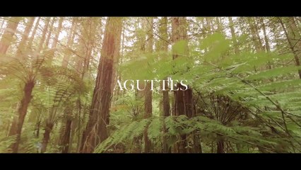 Un squelette d’une espèce inconnue de dinosaure présentée à Lyon