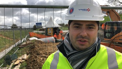 Un million d’euros pour faire traverser des hérissons