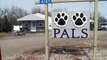 Dogs Stolen from Iowa Shelter Returned with Injuries